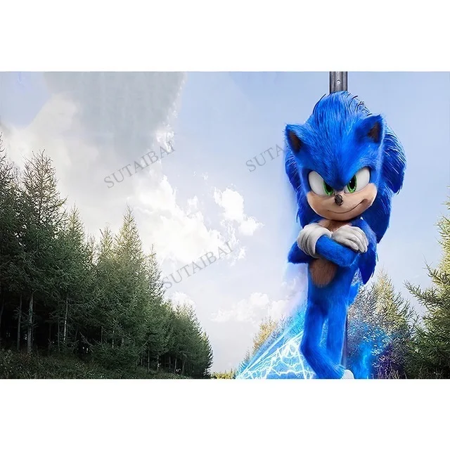Blue Sonic Boy Birthday Party Photography Background Cartoon Children Custom Photo Backdrops Vinyl Booth Props Photocall
Blue Sonic Boy Birthday Party Photography Background Cartoon Children Custom Photo Backdrops Vinyl Booth Props Photocall