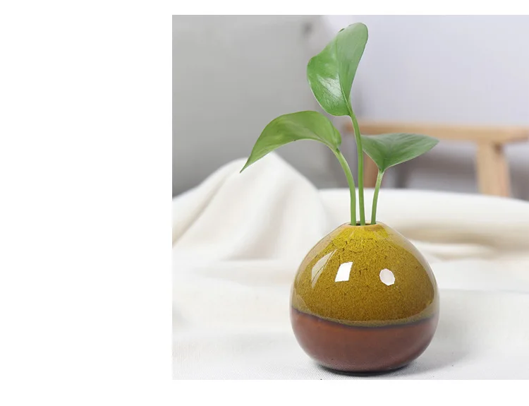 Kiln changing ceramic vase hydroponic flower arrangement green plant living room TV wine cabinet modern home decoration
Kiln changing ceramic vase hydroponic flower arrangement green plant living room TV wine cabinet modern home decoration