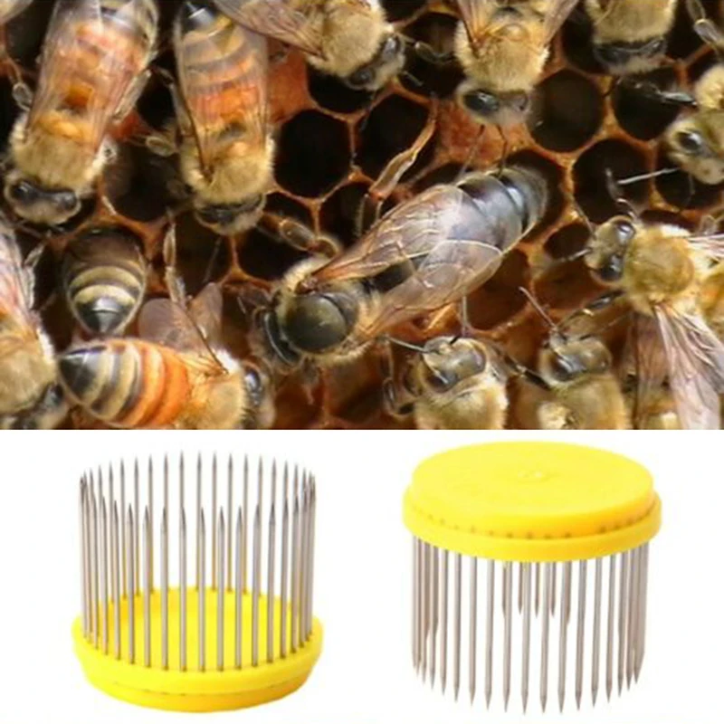 Type Beekeeping Tool Bee Cage Catching Catcher Equipment 5cmx4cm/1.97\\'\\'X1.57\\'\\' Yellow+Silver High Quality
Type Beekeeping Tool Bee Cage Catching Catcher Equipment 5cmx4cm/1.97\\'\\'X1.57\\'\\' Yellow+Silver High Quality
