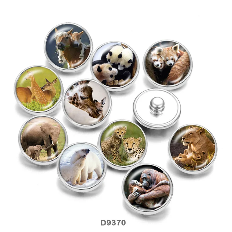 Animal Glass Cabochons DIY Bracelet glass Snap buttons CD9370
Animal Glass Cabochons DIY Bracelet glass Snap buttons CD9370