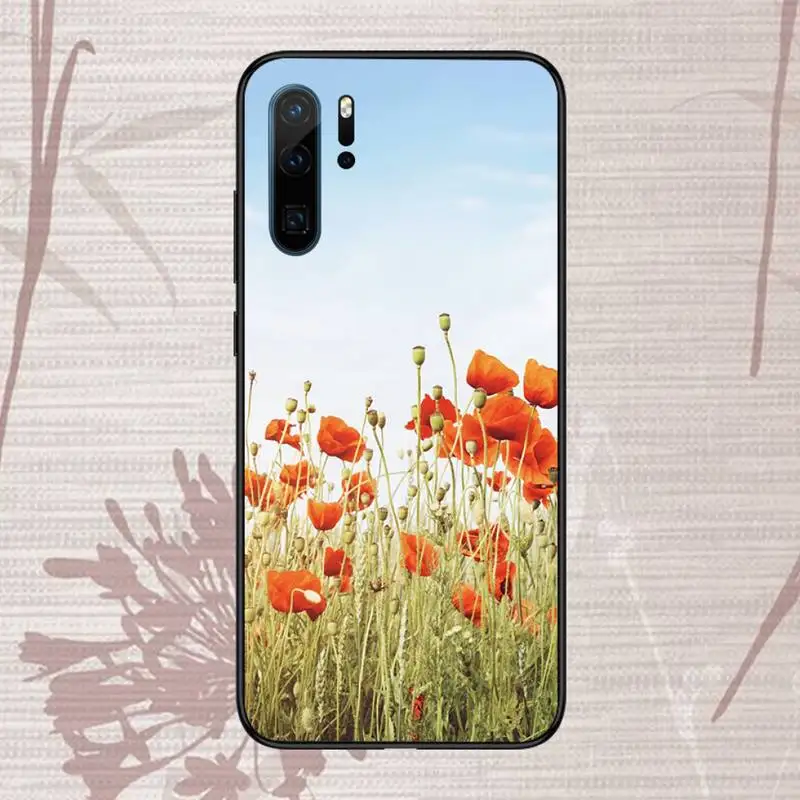 Poppies Poppy Phone Case For Huawei P20 P30 P40 lite Pro P Smart 2019 Mate 10 20 Lite Pro Nova 5t
Poppies Poppy Phone Case For Huawei P20 P30 P40 lite Pro P Smart 2019 Mate 10 20 Lite Pro Nova 5t