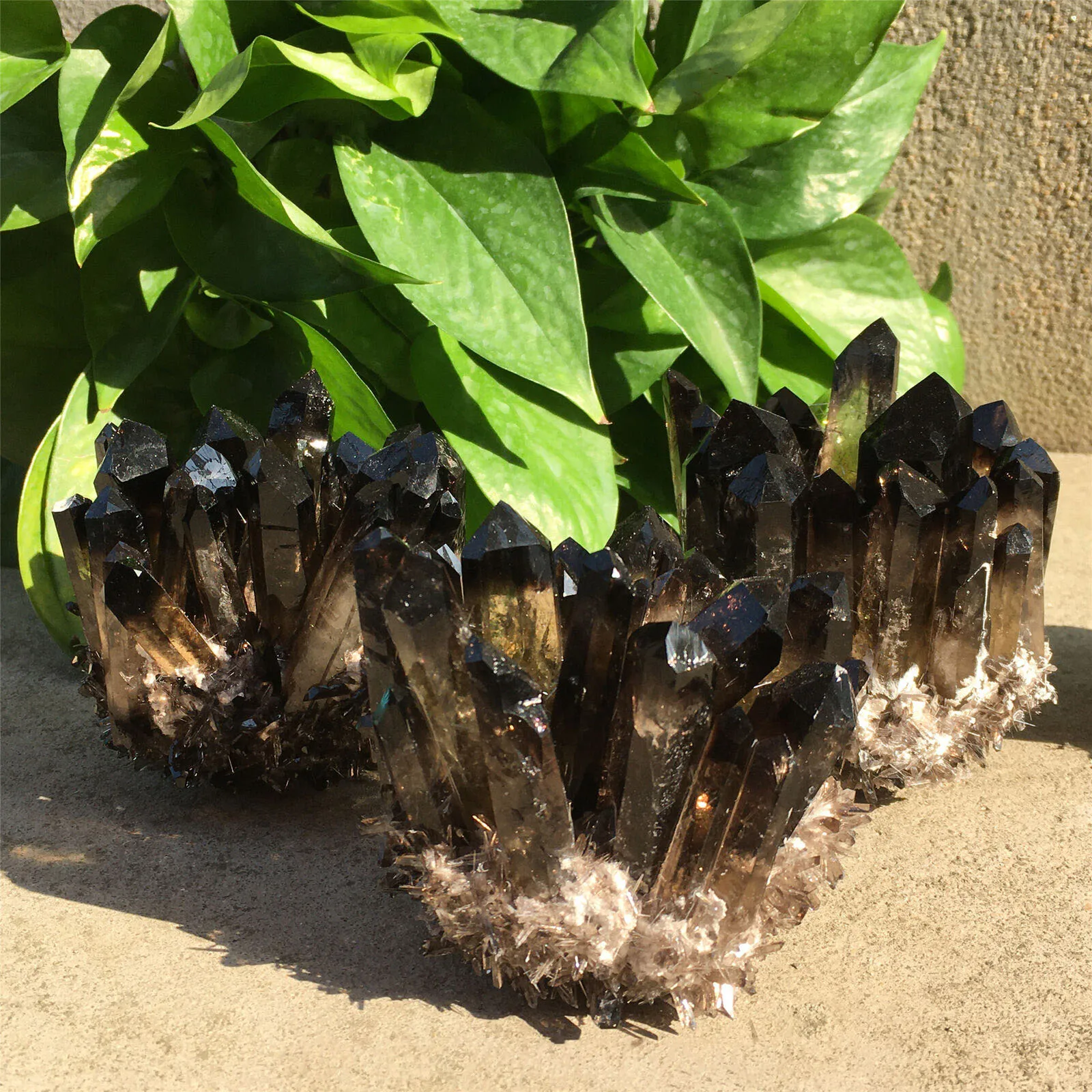 Natural Smoked Quartz Crystal Cluster Energy Free Form Reiki Stone Living Room Home Office Accessories Aquarium Decorative Gem
Natural Smoked Quartz Crystal Cluster Energy Free Form Reiki Stone Living Room Home Office Accessories Aquarium Decorative Gem