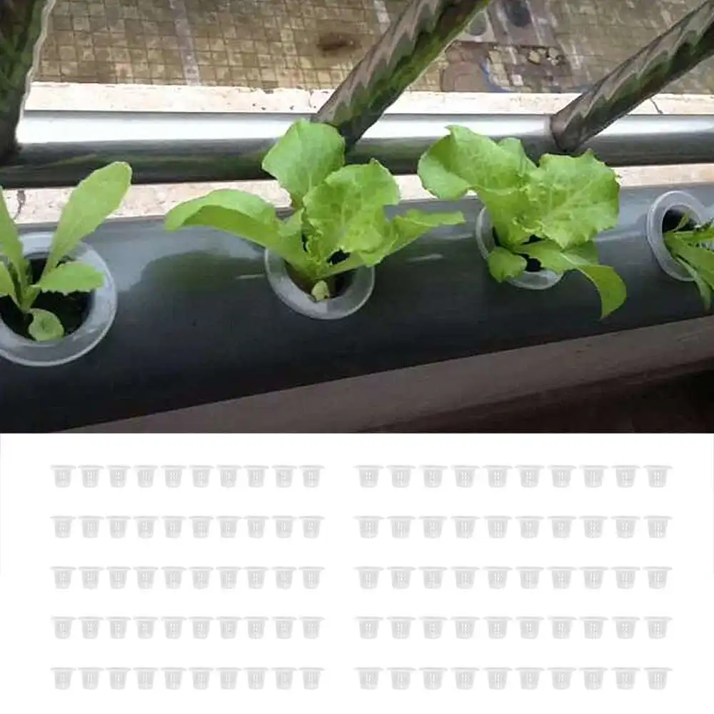 50PCS Hydroponic Colonization Mesh Net Cup Basket Hydroponic Aeroponic Planting Grow Nursery Plant Soilless Basket Root Fixer 
50PCS Hydroponic Colonization Mesh Net Cup Basket Hydroponic Aeroponic Planting Grow Nursery Plant Soilless Basket Root Fixer