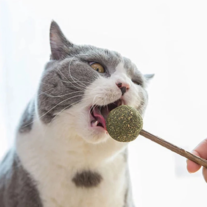 Pet Products Pet Cat Toys Natural Catnip Lollipop Shape Pet Molar Teeth Cat Toy Pet Christmas New Year Gift Teeth Cleaning Toys
Pet Products Pet Cat Toys Natural Catnip Lollipop Shape Pet Molar Teeth Cat Toy Pet Christmas New Year Gift Teeth Cleaning Toys