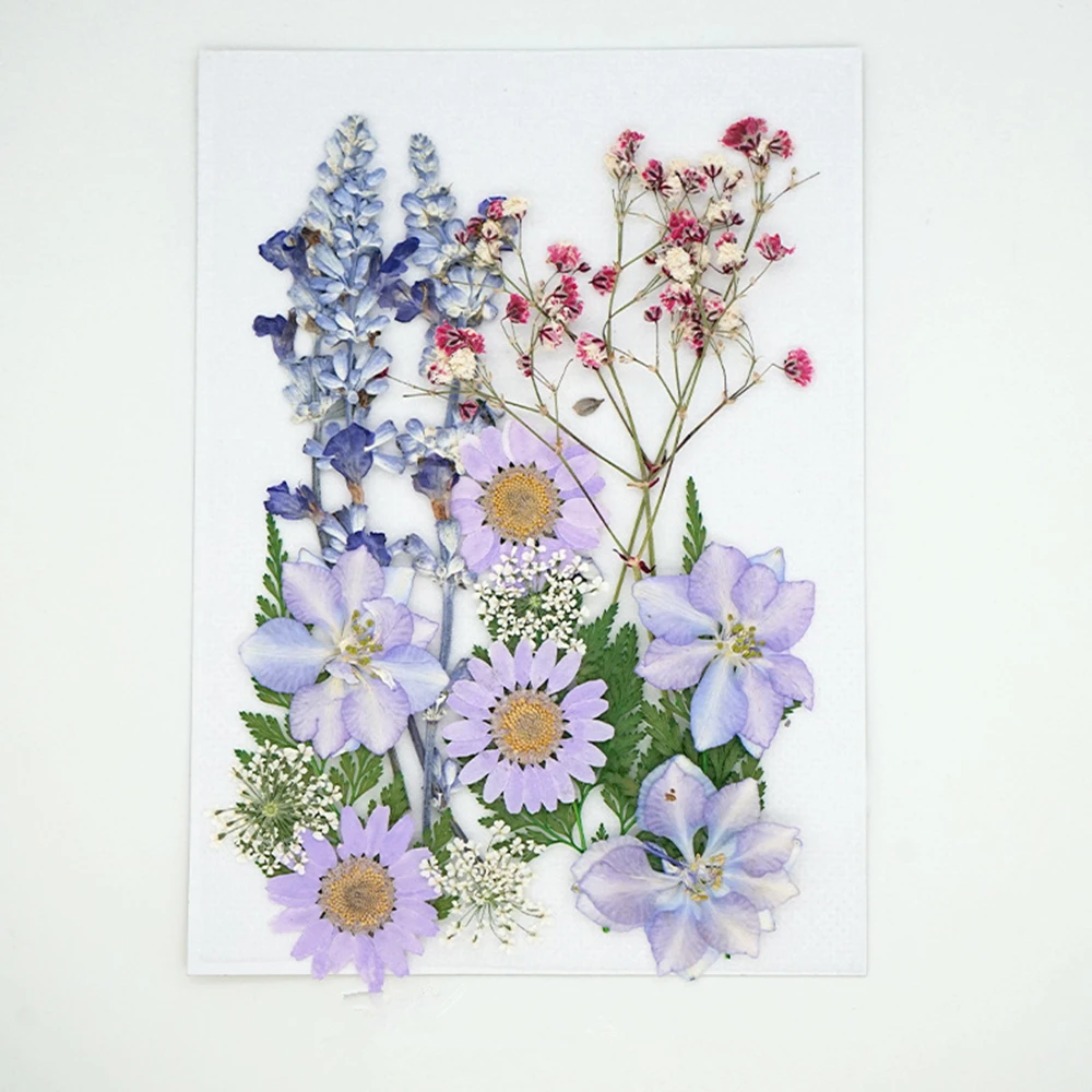 1 Bag Real Dried Flower Dry Beauty Decal Resin Pendant Necklace Jewelry Making Craft DIY Accessories Natural Flower Stickers
1 Bag Real Dried Flower Dry Beauty Decal Resin Pendant Necklace Jewelry Making Craft DIY Accessories Natural Flower Stickers