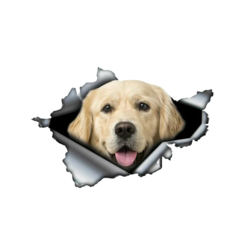 Golden Retriever Torn Metal Bumper Funny Car Stickers Window Trunk Animal 3D Styling Reflective PVC Decal,13cm*8.8cm
Golden Retriever Torn Metal Bumper Funny Car Stickers Window Trunk Animal 3D Styling Reflective PVC Decal,13cm*8.8cm