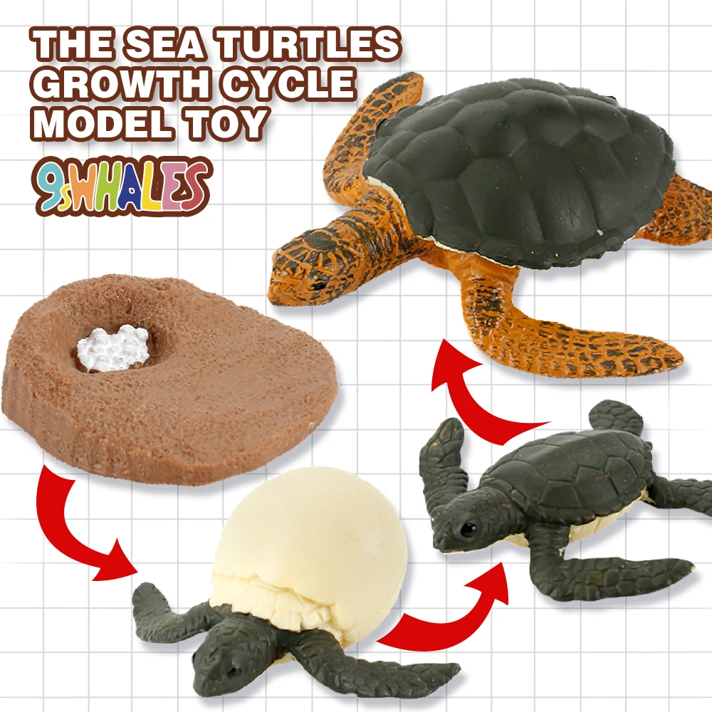 Educational Simulation Toy Simulation Animals PVC Sea turtles Growth Cycle Scene Design Simulation Powder Toy Decoration Gift
Educational Simulation Toy Simulation Animals PVC Sea turtles Growth Cycle Scene Design Simulation Powder Toy Decoration Gift