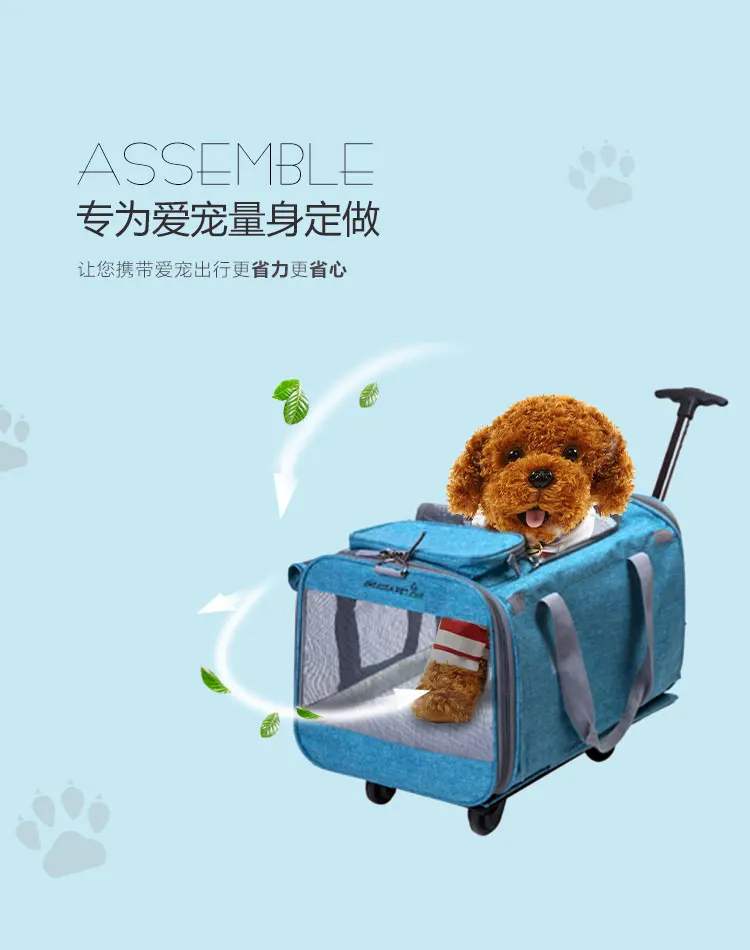 Pet Carrier Backpack With Wheels For Dog/Cat, Multiple Uses Cat/Dog Travel Carrier Bag/Fashion Trolley Roller Bag/Travel Bag
Pet Carrier Backpack With Wheels For Dog/Cat, Multiple Uses Cat/Dog Travel Carrier Bag/Fashion Trolley Roller Bag/Travel Bag