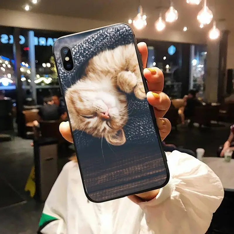 cat cute animal Phone Case for iPhone 11 12 pro XS MAX 8 7 6 6S Plus X 5S SE 2020 XR
cat cute animal Phone Case for iPhone 11 12 pro XS MAX 8 7 6 6S Plus X 5S SE 2020 XR