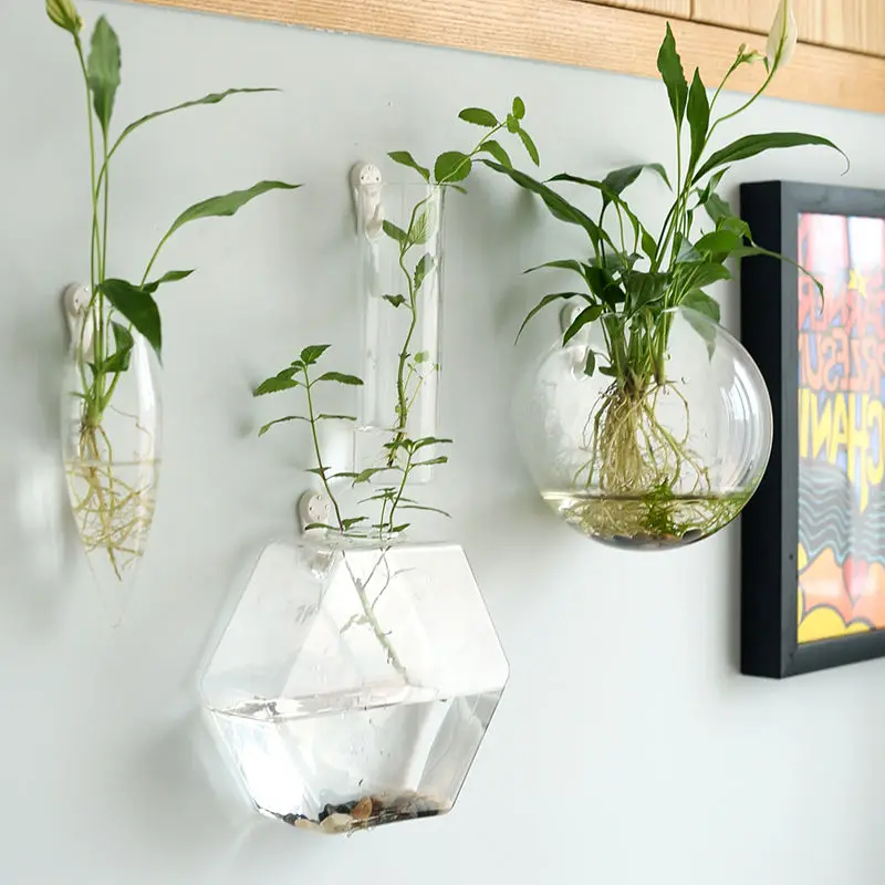 Creative Transparent Hydroponic Wall Flower Vase Green Plants Wall Hanging Decoration Nordic Vases Home Decoration Ornament
Creative Transparent Hydroponic Wall Flower Vase Green Plants Wall Hanging Decoration Nordic Vases Home Decoration Ornament