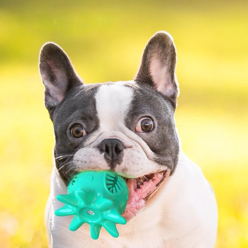 Dog Toys Pet Accessories Large Feed Activation TPR Plastic Ball Thrower Chewing Squeak Intimate Interactive Soft Supplies
Dog Toys Pet Accessories Large Feed Activation TPR Plastic Ball Thrower Chewing Squeak Intimate Interactive Soft Supplies