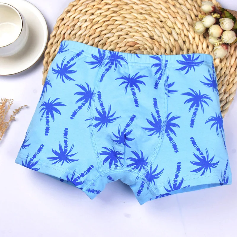 5pcs/Lot Boys Underwear Cute Boys Boxer Briefs Children Cartoon Coconut Trees Underpants Baby Blue Short Kids Cotton Panties
5pcs/Lot Boys Underwear Cute Boys Boxer Briefs Children Cartoon Coconut Trees Underpants Baby Blue Short Kids Cotton Panties