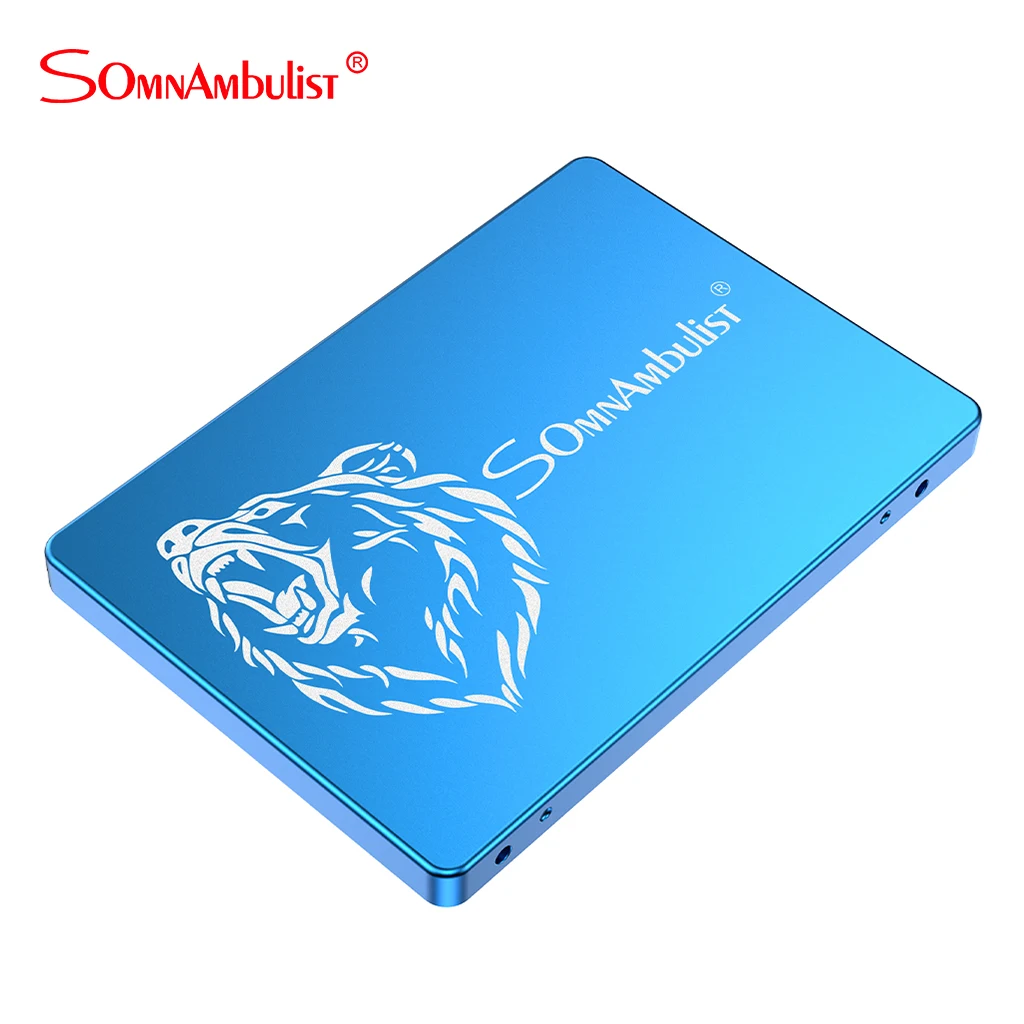 SOMNAMBULIST металлический grizzly SSD Plus Внутренний твердотельный жесткий диск SATA III 2 5