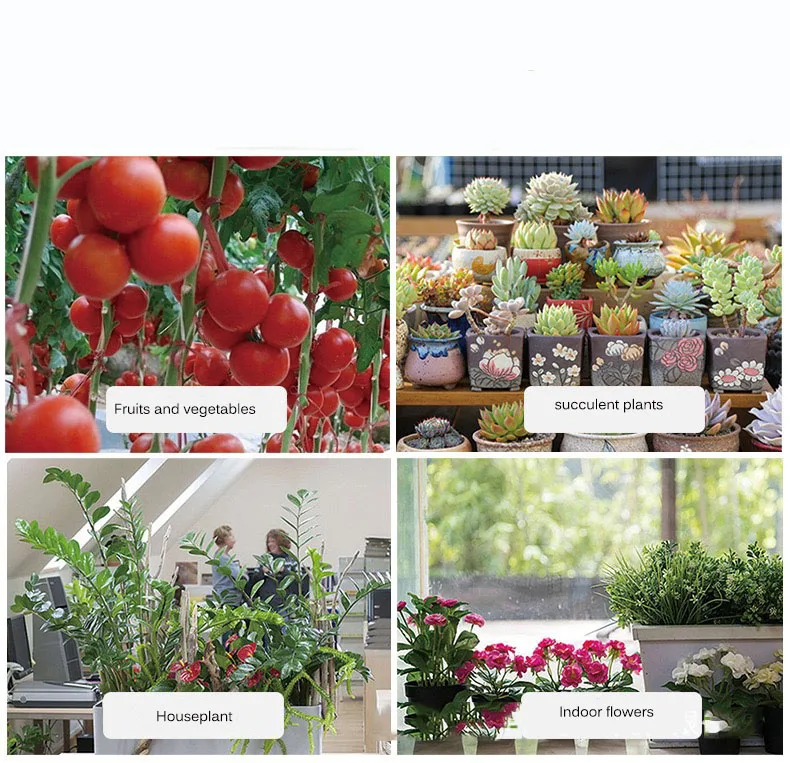 Phyto Lamp LED Seeding Lamp Indoor Green plant landscape of fruits and vegetable Fitolampy Full Spectrum Grow Light
Phyto Lamp LED Seeding Lamp Indoor Green plant landscape of fruits and vegetable Fitolampy Full Spectrum Grow Light