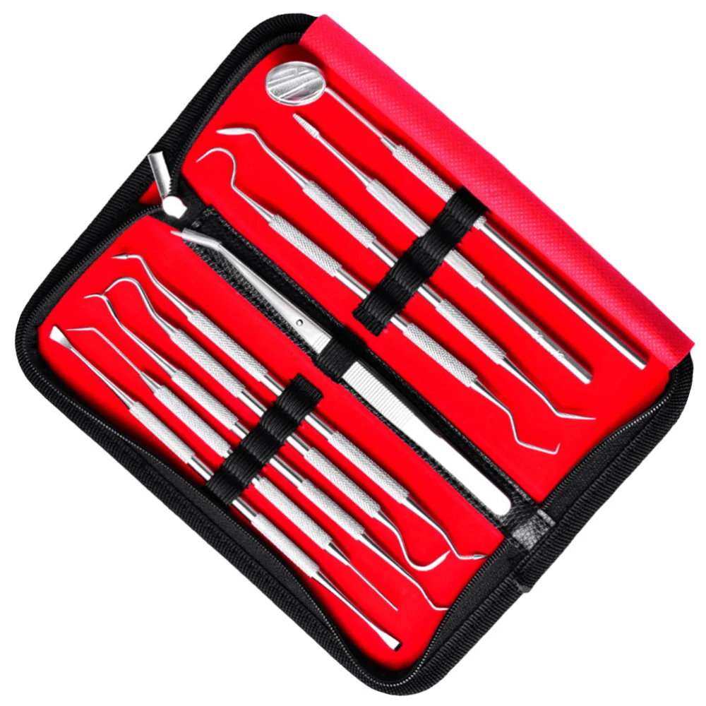 1 Set/10pcs Hygiene Kit Teeth Whitening Tools Calculus Plaque Remover Set Clean Teeth Kit Stainless Steel with Lamp witho
1 Set/10pcs Hygiene Kit Teeth Whitening Tools Calculus Plaque Remover Set Clean Teeth Kit Stainless Steel with Lamp witho