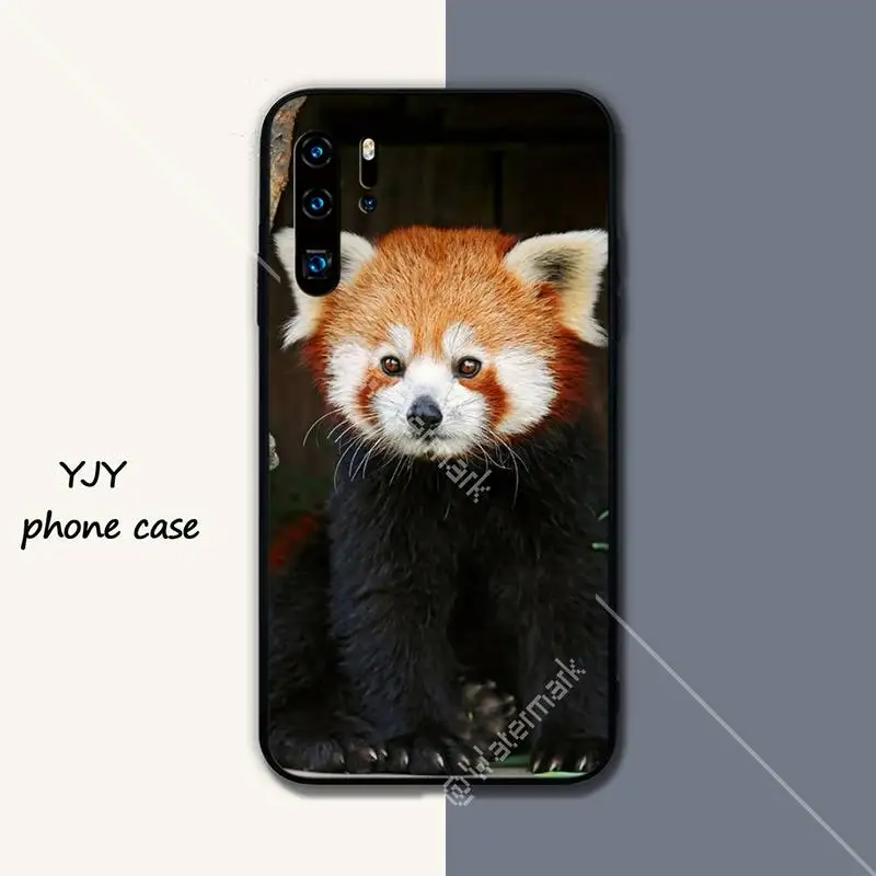 Ailurus fulgens cute Silicone black case coque for Huawei P9 lite 2016 2017 P 10 P20 PRO P30 P40 lite P smart 2019 cover 
Ailurus fulgens cute Silicone black case coque for Huawei P9 lite 2016 2017 P 10 P20 PRO P30 P40 lite P smart 2019 cover