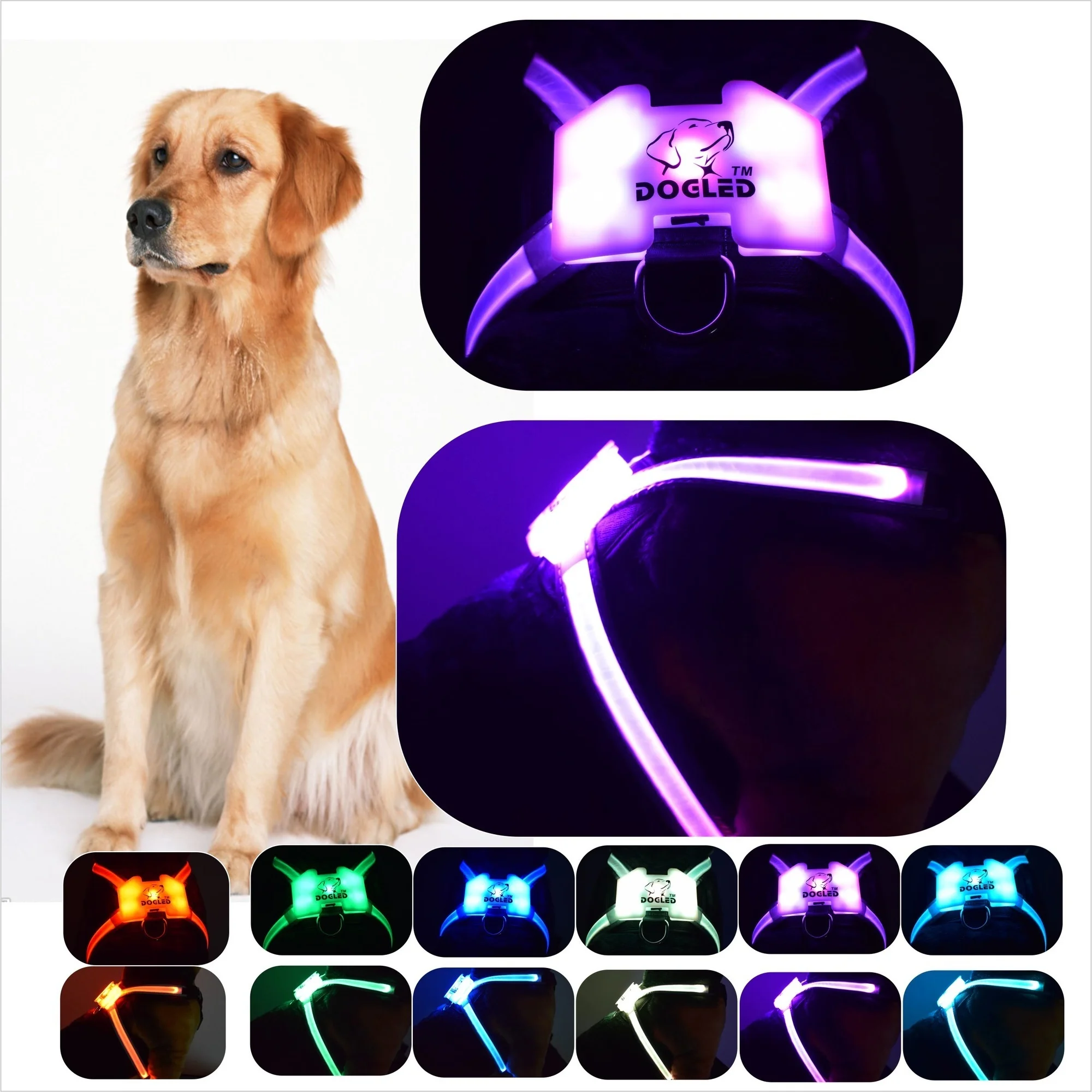 

Ошейник для собак CC SIMON, светящиеся аксессуары для собак, большая Светоотражающая шлейка для собак