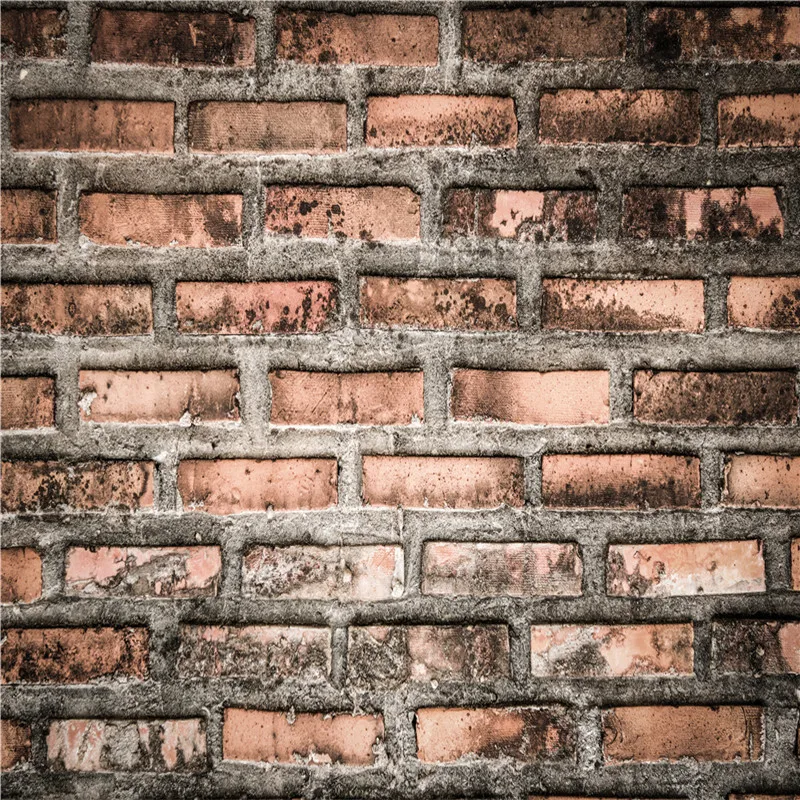 Nitree Photo Studio Props Photography Backdrop Brick Wall Theme Vinyl Background Wedding Baby Children Birthday Party Decoration
Nitree Photo Studio Props Photography Backdrop Brick Wall Theme Vinyl Background Wedding Baby Children Birthday Party Decoration