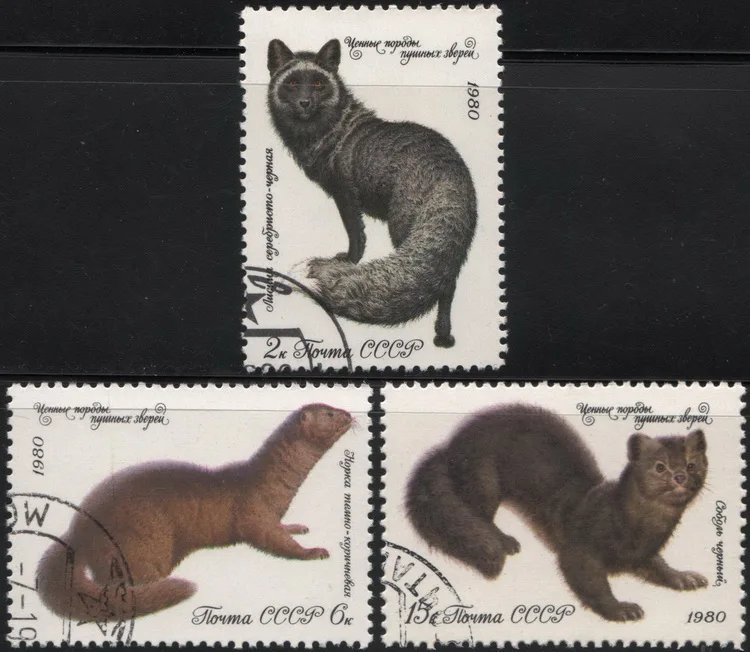 

3Pcs/Set USSR CCCP Post Stamps 1980 Cats Used Post Marked Postage Stamps for Collecting
