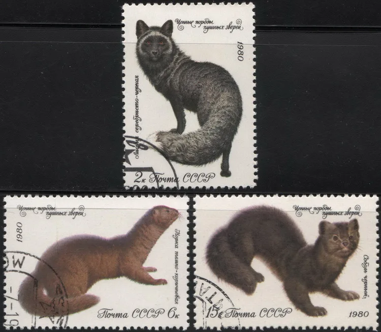 3Pcs/Set USSR CCCP Post Stamps 1980 Cats Used Post Marked Postage Stamps for Collecting
3Pcs/Set USSR CCCP Post Stamps 1980 Cats Used Post Marked Postage Stamps for Collecting