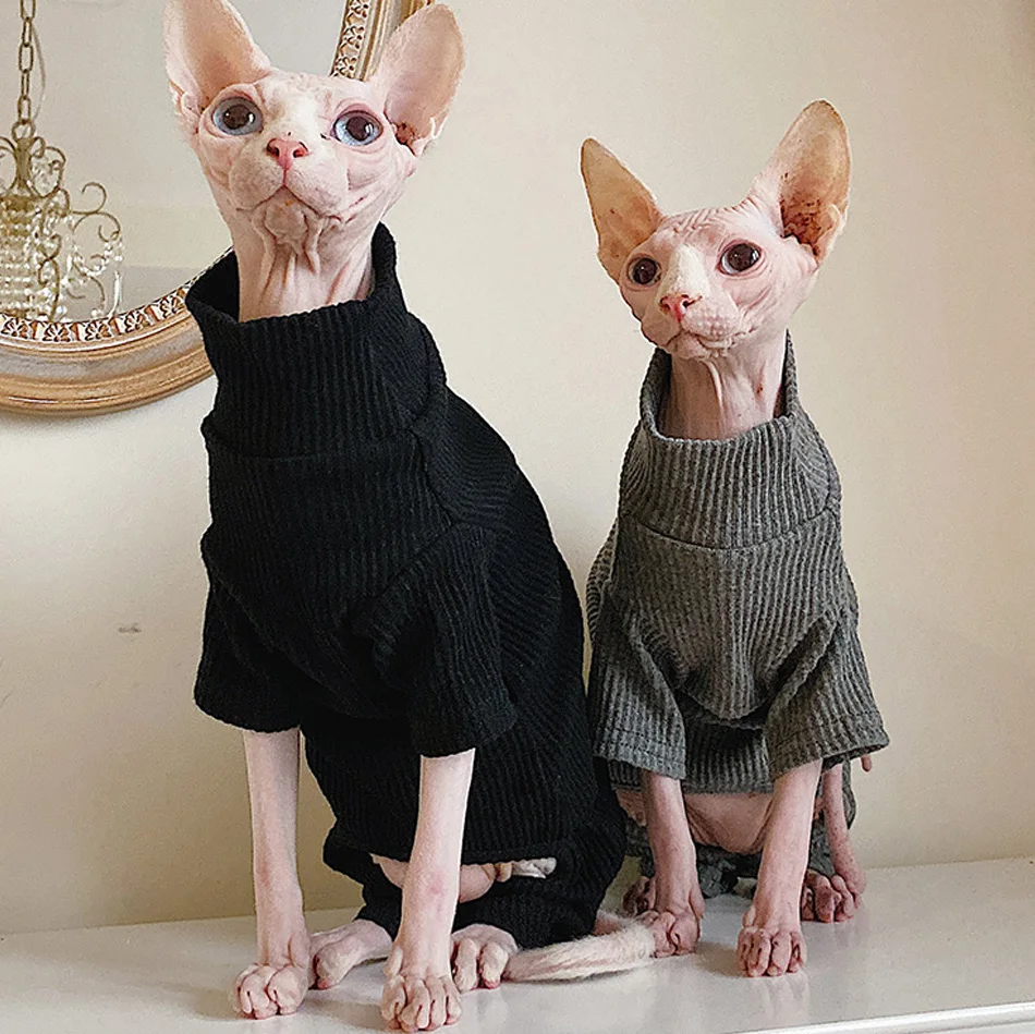 Sphynx Cat Clothes Warm Thick Comfort Clothes For Sphinx Cat Kitten Super Stretch Sweatshirt Clothing Sphynxcat Fashion Coat
Sphynx Cat Clothes Warm Thick Comfort Clothes For Sphinx Cat Kitten Super Stretch Sweatshirt Clothing Sphynxcat Fashion Coat