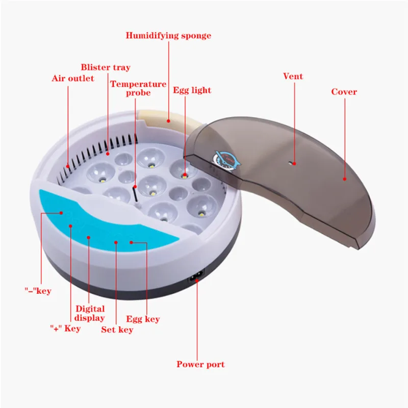 Mini 9 Eggs Incubator Poultry Hatcher Machine Egg Candler Testerand Temperaure Control For Chicken Duck Bird Quail
Mini 9 Eggs Incubator Poultry Hatcher Machine Egg Candler Testerand Temperaure Control For Chicken Duck Bird Quail
