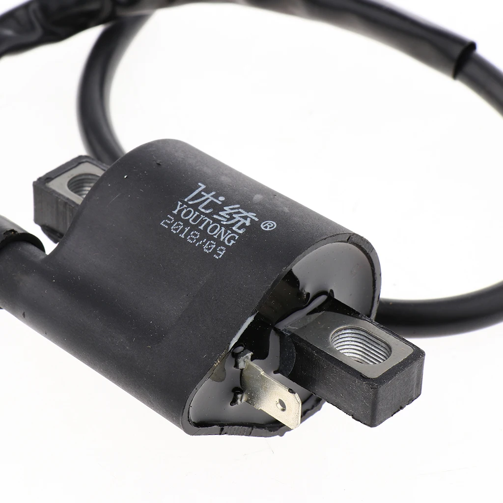 Heavy Duty Plastic Ignition Coil Module for Honda CG125 ZJ125 Motorcross Scooter Dirt Bike
Heavy Duty Plastic Ignition Coil Module for Honda CG125 ZJ125 Motorcross Scooter Dirt Bike