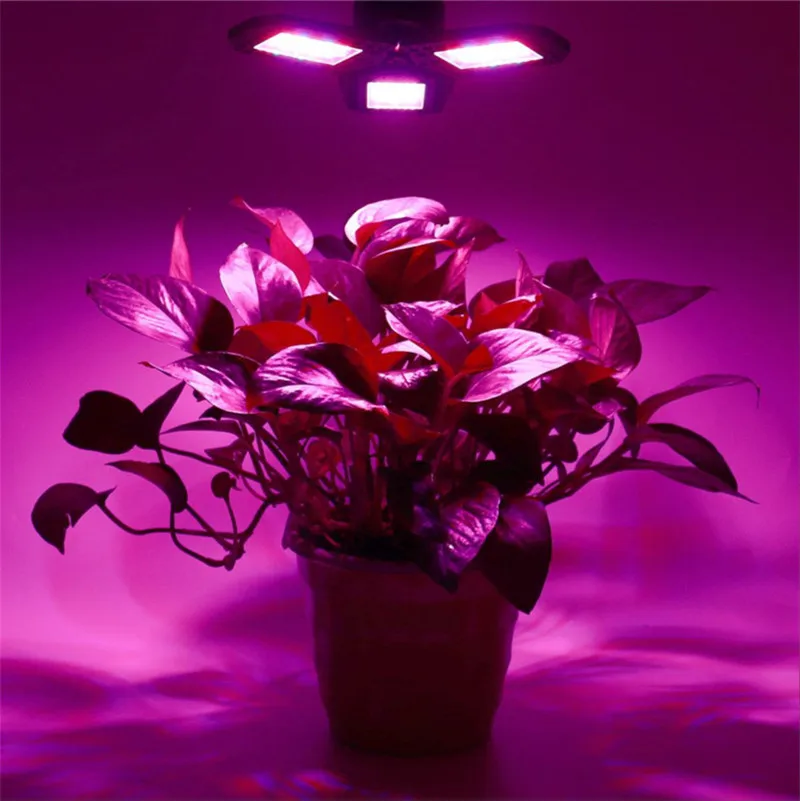 Светодиодный Фито лампа E27 100W 200W 300W полный спектр светодиодный Grow светильник Horticole Крытый рассады цветок Тепличный тент лампа для растений
Светодиодный Фито лампа E27 100W 200W 300W полный спектр светодиодный Grow светильник Horticole Крытый рассады цветок Тепличный тент лампа для растений