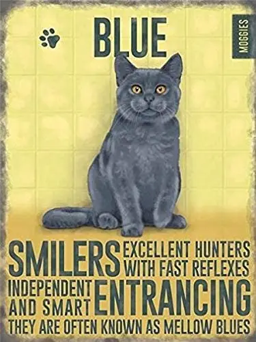 Jesiceny New Tin Sign Vintage Style Metal Wall Sign Plaque Russian Blue Cat Kitten Gift Aluminum Metal Sign for Wall Decor
Jesiceny New Tin Sign Vintage Style Metal Wall Sign Plaque Russian Blue Cat Kitten Gift Aluminum Metal Sign for Wall Decor