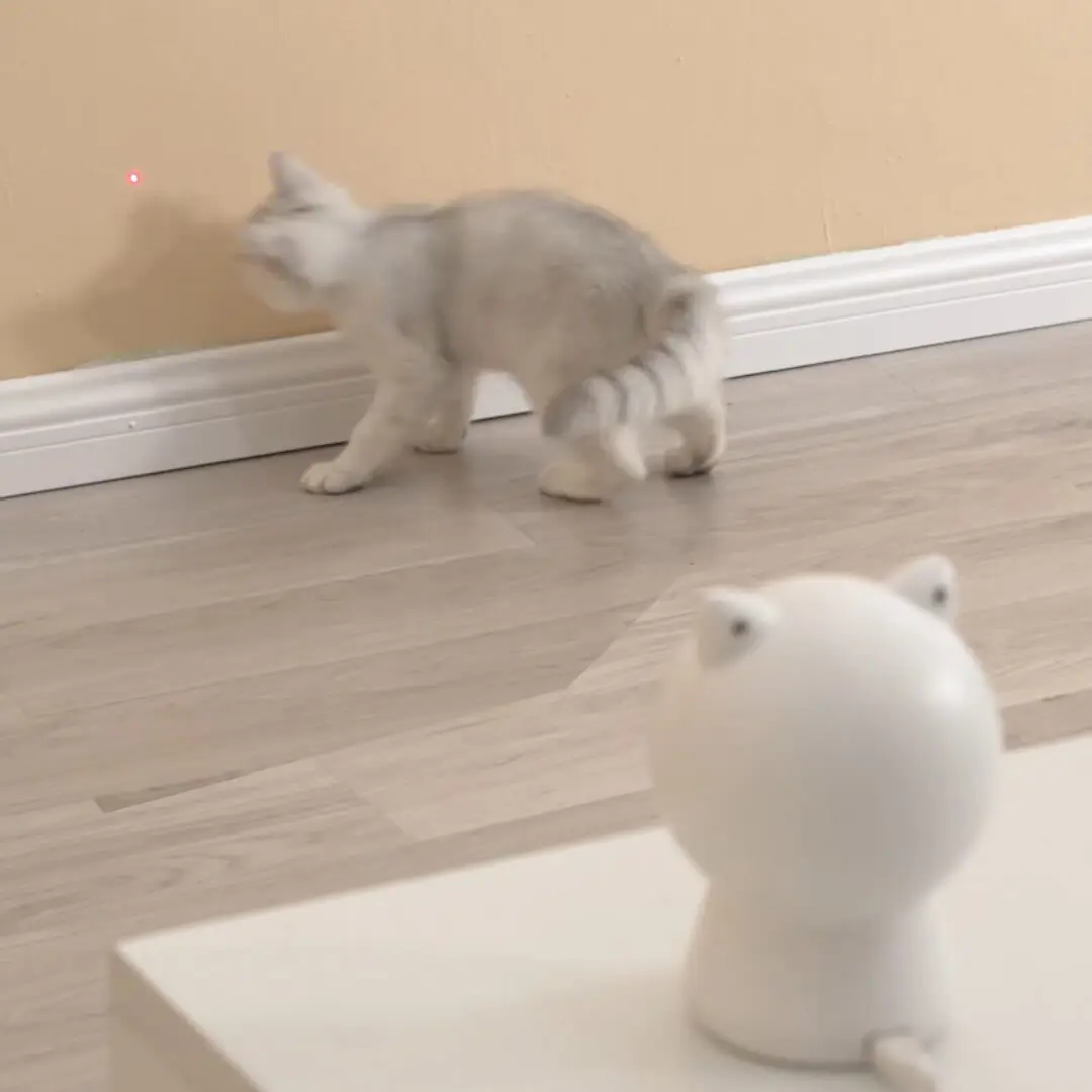 Xiaomi Mijia Petoneer Laser Red Dot Pet Cats Teaser Toy USB Rechargeable Smart Cats Interactive Companion Toy Smart App Control
Xiaomi Mijia Petoneer Laser Red Dot Pet Cats Teaser Toy USB Rechargeable Smart Cats Interactive Companion Toy Smart App Control