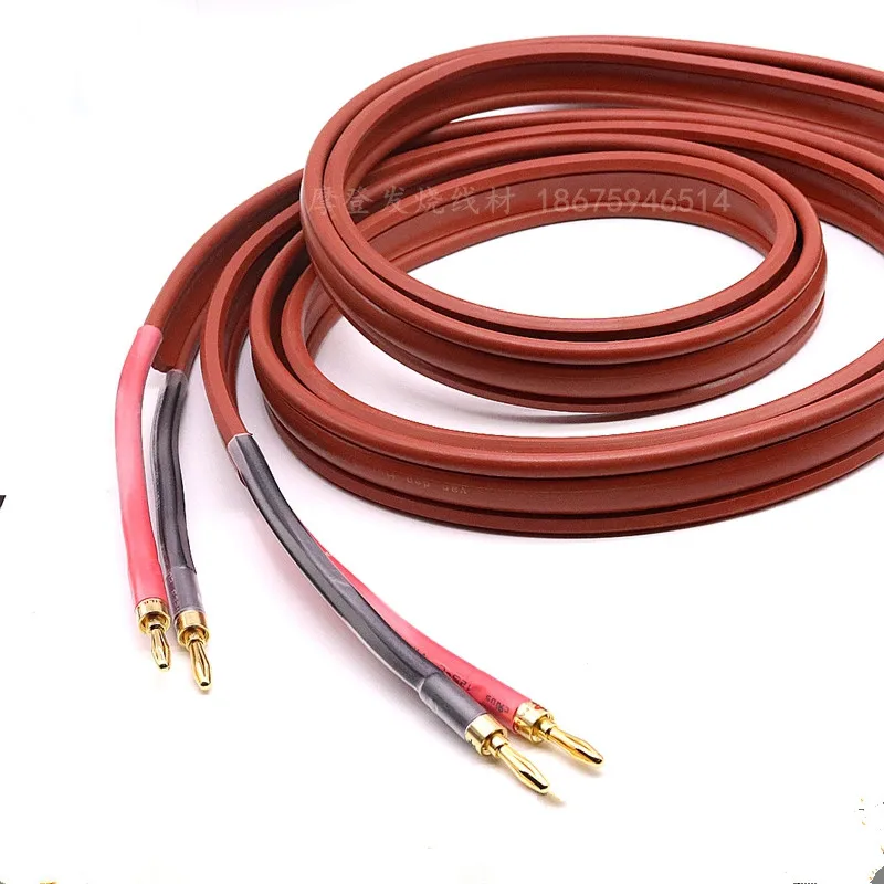 VandenHul Cardinals thick silver plated main speaker cable HIFI upgrade audio speaker cable
VandenHul Cardinals thick silver plated main speaker cable HIFI upgrade audio speaker cable
