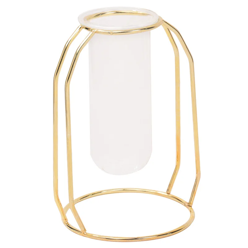 Nordic Light Luxury Hydroponic Vase Transparent Glass Geometric Vase Garden Water Planting Propagation Stations Home Decor Gift
Nordic Light Luxury Hydroponic Vase Transparent Glass Geometric Vase Garden Water Planting Propagation Stations Home Decor Gift