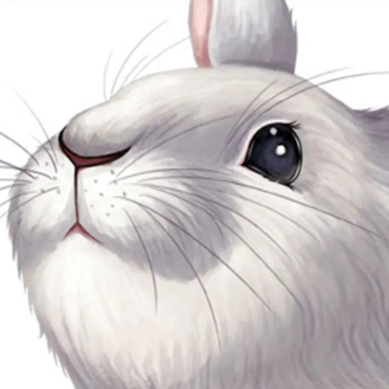 Rabbit And Bird Wall Stickers Waterproof Children's Room Wallpaper Simplicity Cute Wall Sticker Modern Home Decorative 
Rabbit And Bird Wall Stickers Waterproof Children's Room Wallpaper Simplicity Cute Wall Sticker Modern Home Decorative