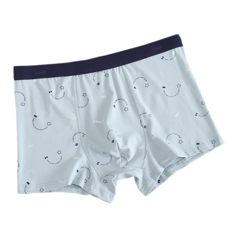 2XL-5XL Plus Size Men Underwear Male Boxer Panties Shorts Men's Cotton Underpants Breathable Intimates Man Boxers Large Size
2XL-5XL Plus Size Men Underwear Male Boxer Panties Shorts Men's Cotton Underpants Breathable Intimates Man Boxers Large Size