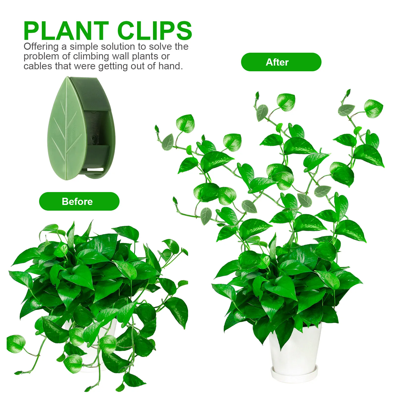 Держатель с зажимом для фиксации растений, крючок-пряжка для растений, альпинистская лоза, товары для садоводства, клейкая стяжка
Держатель с зажимом для фиксации растений, крючок-пряжка для растений, альпинистская лоза, товары для садоводства, клейкая стяжка