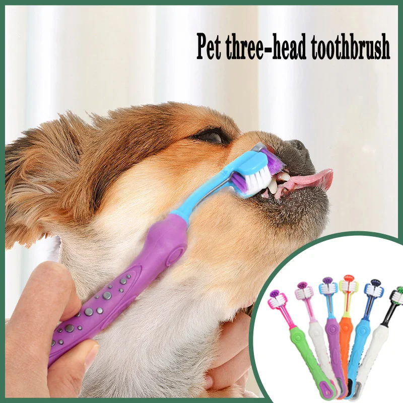 Новинка, трехсторонняя Бриллиантовая зубная щетка для собак, мягкая резиновая зубная щетка для ухода за собакой, с плохим дыханием, клетка, ... 
Новинка, трехсторонняя Бриллиантовая зубная щетка для собак, мягкая резиновая зубная щетка для ухода за собакой, с плохим дыханием, клетка, ...