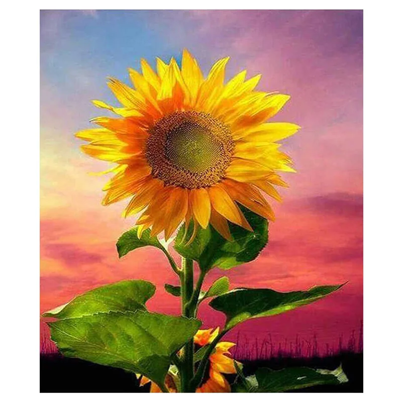 New DIY Diamond Painting Sunflower Full Diamond Oil Painting Cross Stitch Mosaic Home Decoration Wall Paste
New DIY Diamond Painting Sunflower Full Diamond Oil Painting Cross Stitch Mosaic Home Decoration Wall Paste