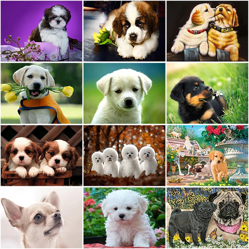 DIY 5D Diamond Painting Dog Mosaic Full Round Drill Cross Stitch Diamond Embroidery Rottweiler Animal Rhinestones Wall Sticker
DIY 5D Diamond Painting Dog Mosaic Full Round Drill Cross Stitch Diamond Embroidery Rottweiler Animal Rhinestones Wall Sticker