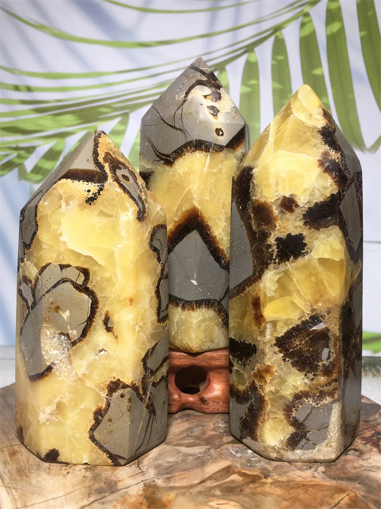 Natural Septarium Tower Mineral Stone Crystal Quartz Point Septarian Sample Gem Hexagonal Wand Room Decoration Collection Modern
Natural Septarium Tower Mineral Stone Crystal Quartz Point Septarian Sample Gem Hexagonal Wand Room Decoration Collection Modern