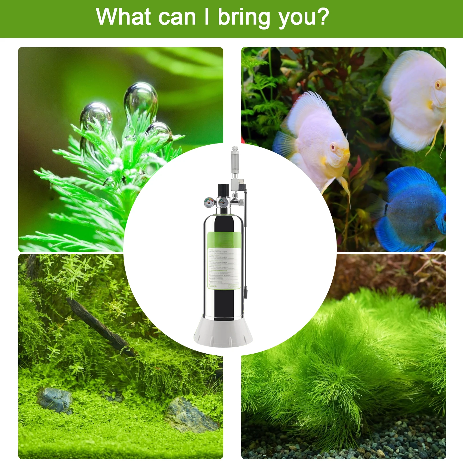 Fish Tank Aquarium Co2 Generator System Kit Co2 Cylinder Generator System With Solenoid Valve Bubble Diffuser Co2 Reactor Kit
Fish Tank Aquarium Co2 Generator System Kit Co2 Cylinder Generator System With Solenoid Valve Bubble Diffuser Co2 Reactor Kit