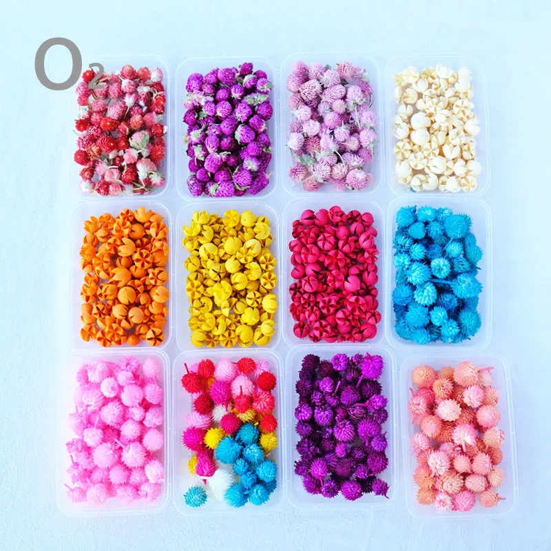 Colorized Natural Dried Artificial Flowers Heads Fruit for Needlework and Handicraft Accessories DIY House Garland Nursery Decor
Colorized Natural Dried Artificial Flowers Heads Fruit for Needlework and Handicraft Accessories DIY House Garland Nursery Decor