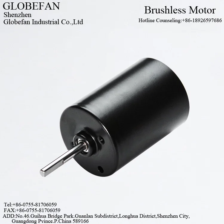BL2838 Brushless Motor Slow Cooker Beauty Salon Electric Shaver Water Pump Diaphragm Pump Geared Motor
BL2838 Brushless Motor Slow Cooker Beauty Salon Electric Shaver Water Pump Diaphragm Pump Geared Motor
