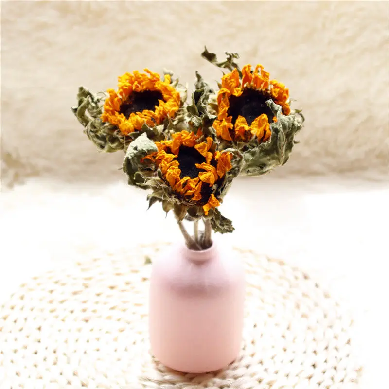 1Pcs Sunflower Bouquet Wholesale Home Ceilings Living Room Decoration Gedroogde Bloemen Display Shooting Props Dried Flowers
1Pcs Sunflower Bouquet Wholesale Home Ceilings Living Room Decoration Gedroogde Bloemen Display Shooting Props Dried Flowers
