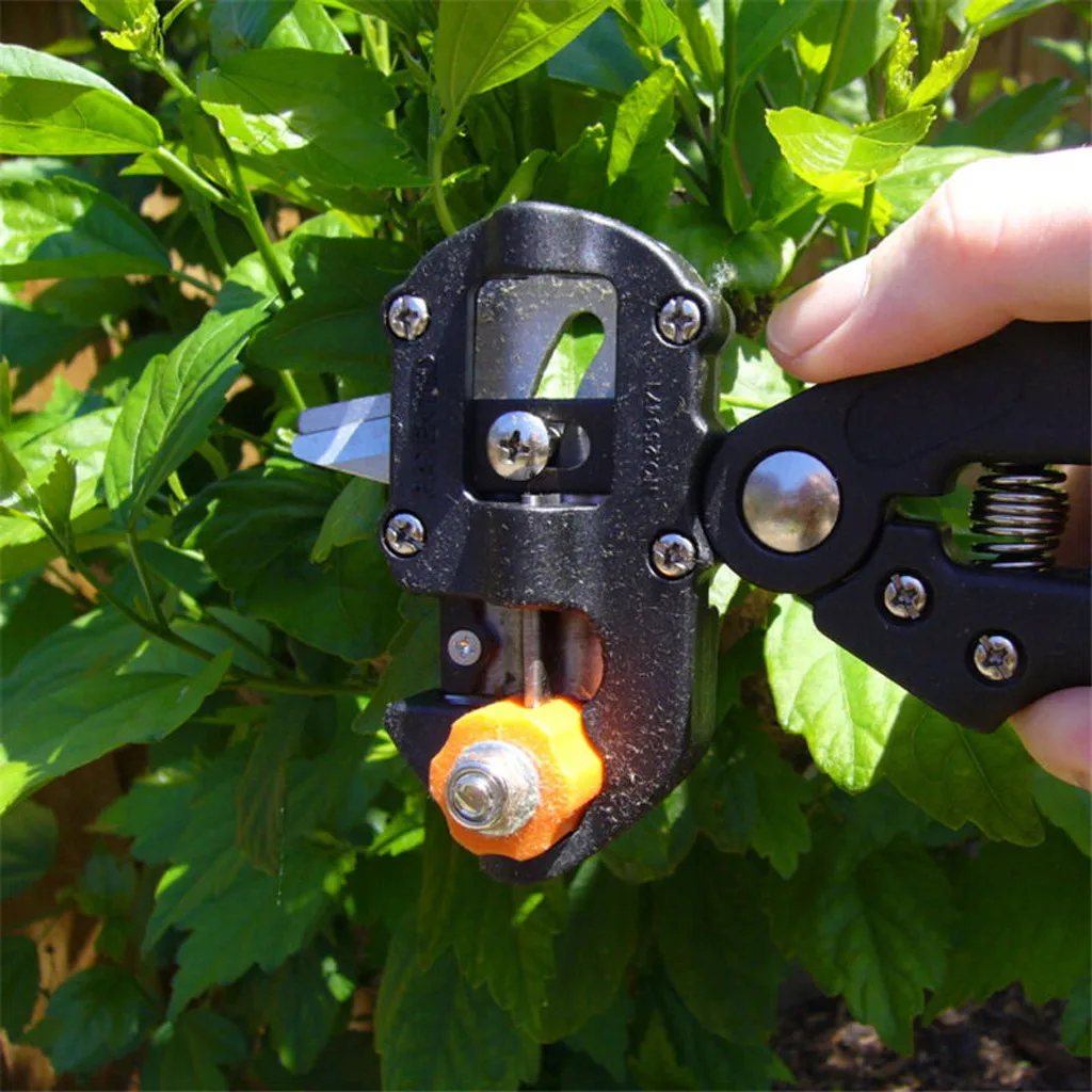 Professional Gardener's Grafter Secateurs Scissors Garden Plant Cutting Tools Pruning shears for horticultural Landscape tree
Professional Gardener's Grafter Secateurs Scissors Garden Plant Cutting Tools Pruning shears for horticultural Landscape tree