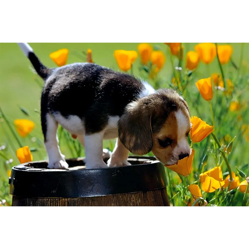 Adult 1000 Pieces of Paper Jigsaw Puzzle Scenery Famous anime cartoon Picture Puzzle Adult Stress Reduction Children's Education
Adult 1000 Pieces of Paper Jigsaw Puzzle Scenery Famous anime cartoon Picture Puzzle Adult Stress Reduction Children's Education