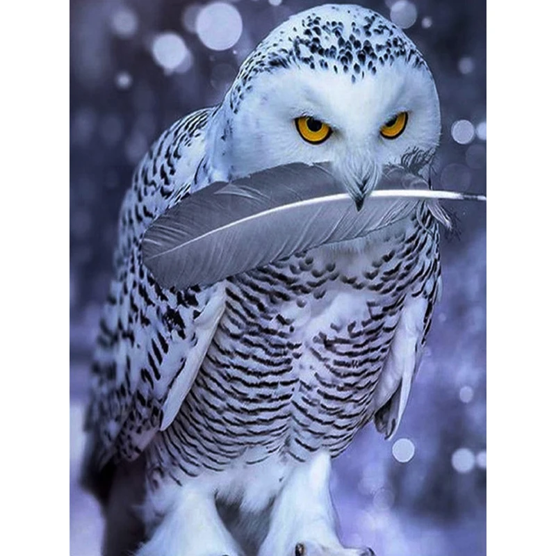 5D алмазная живопись сова, полная вышивка, алмазная вышивка, животные, вышивка крестиком, мозаика стразы, Набор для творчества, домашний деко...
5D алмазная живопись сова, полная вышивка, алмазная вышивка, животные, вышивка крестиком, мозаика стразы, Набор для творчества, домашний деко...