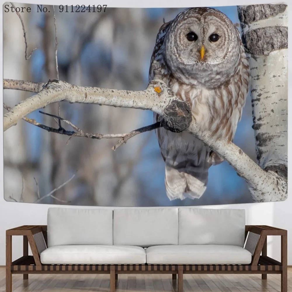 Owl Animal Tapestry Wall Hanging 3D Printed Owl Tapestry Wall Decor For Dorm Room Bedroom Living Room College
Owl Animal Tapestry Wall Hanging 3D Printed Owl Tapestry Wall Decor For Dorm Room Bedroom Living Room College