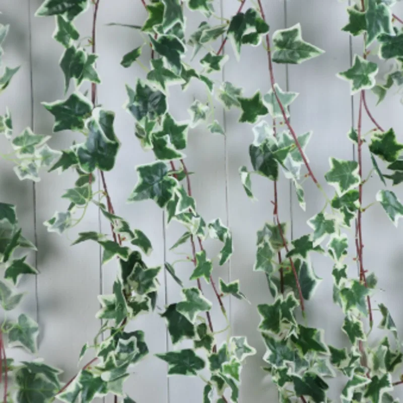 180CM Artificial Ivy plant greens faux plants wedding garden fake rattan wall Hanging wine garland jungle party decor
180CM Artificial Ivy plant greens faux plants wedding garden fake rattan wall Hanging wine garland jungle party decor