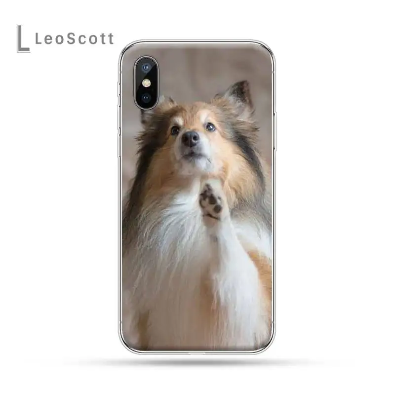 Funny Animal Sheltie dog Phone Case For iphone 12 5 5s 5c se 6 6s 7 8 plus x xs xr 11 pro max
Funny Animal Sheltie dog Phone Case For iphone 12 5 5s 5c se 6 6s 7 8 plus x xs xr 11 pro max