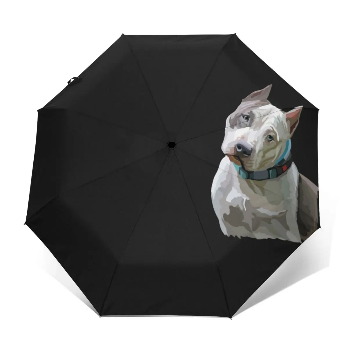 Зонт Amstaff, автоматический зонт на ветровое стекло, Компактный Зонт с креативным принтом для кемпинга
Зонт Amstaff, автоматический зонт на ветровое стекло, Компактный Зонт с креативным принтом для кемпинга